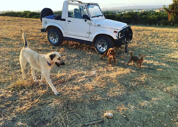 Mavi & Restaurant 2*