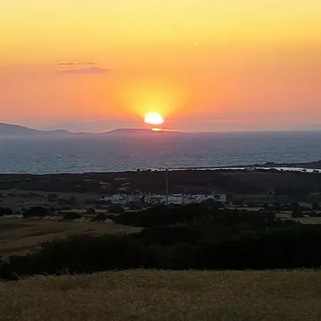 Mavi & Restaurant דידים