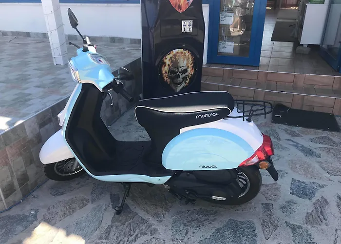 Mavi & Restaurant ホテル ディディム