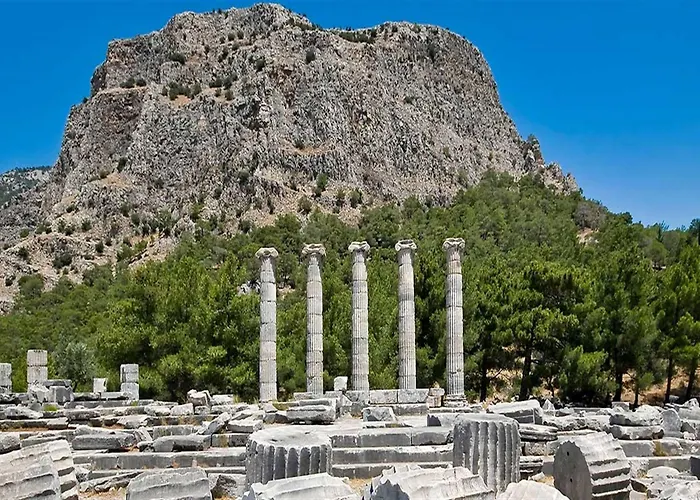 Mavi & Restaurant 2* ディディム