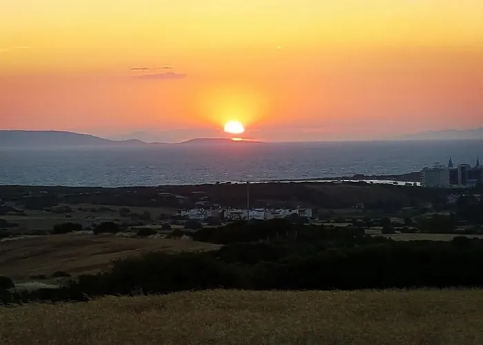 Mavi & Restaurant ディディム